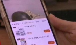 二狗爆料视频大全最新,揭秘娱乐圈幕后真相