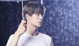 娱乐圈爆料王一博,娱乐圈新晋流量小生的崛起之路